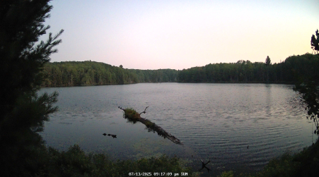 Image from 2025-07-13