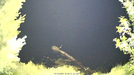Image from 2025-07-13