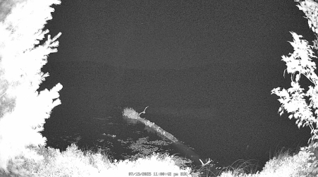 Image from 2025-07-13