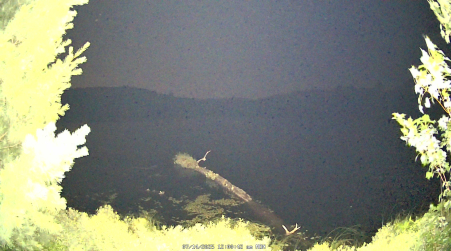 Image from 2025-07-14