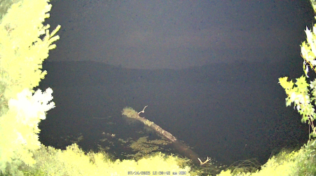 Image from 2025-07-14