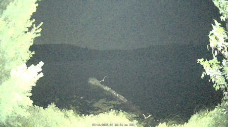 Image from 2025-07-14