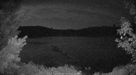 Image from 2025-07-14