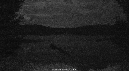 Image from 2025-07-14