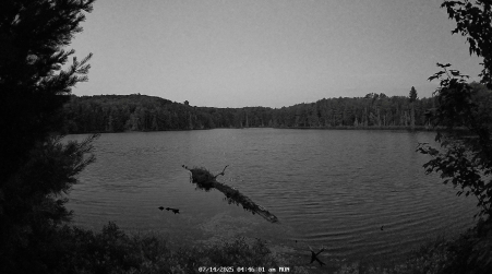 Image from 2025-07-14