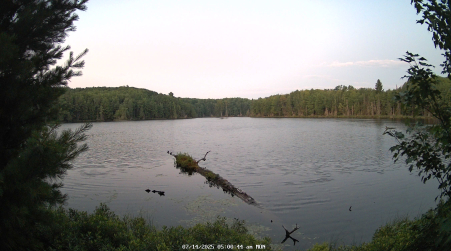 Image from 2025-07-14
