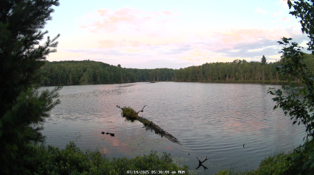Image from 2025-07-14