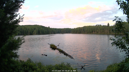Image from 2025-07-14