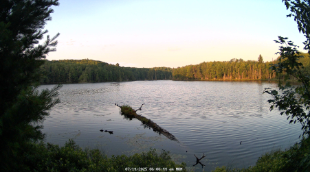 Image from 2025-07-14