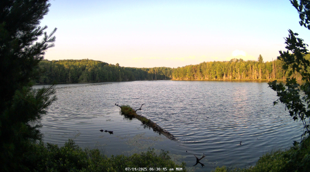 Image from 2025-07-14