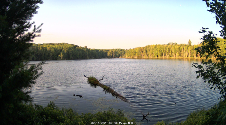 Image from 2025-07-14