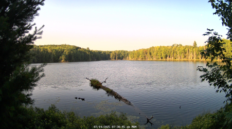 Image from 2025-07-14