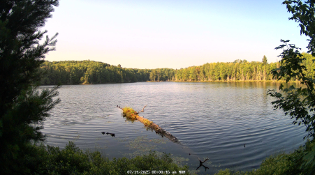 Image from 2025-07-14