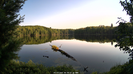 Image from 2025-07-14