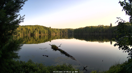Image from 2025-07-14