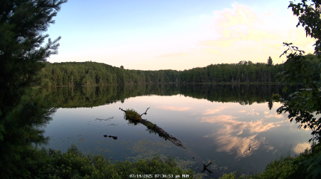 Image from 2025-07-14