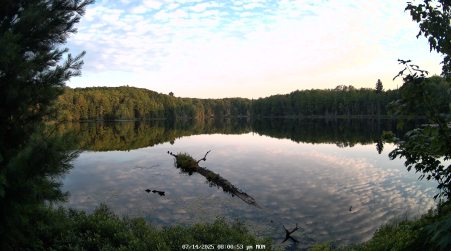 Image from 2025-07-14