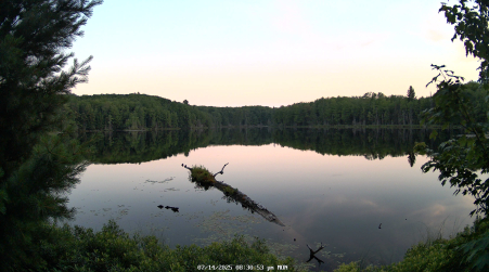 Image from 2025-07-14