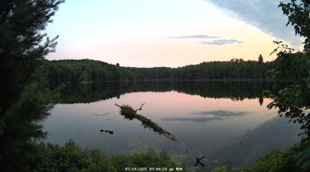 Image from 2025-07-14
