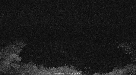 Image from 2025-07-14