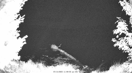 Image from 2025-07-14