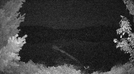 Image from 2025-07-14
