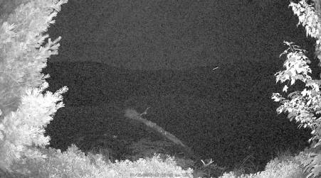 Image from 2025-07-15