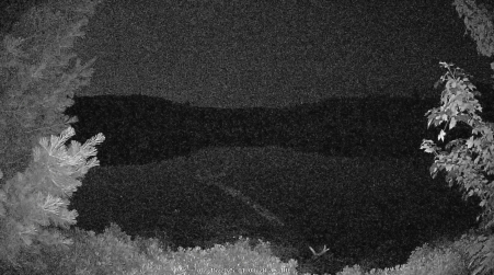 Image from 2025-07-15