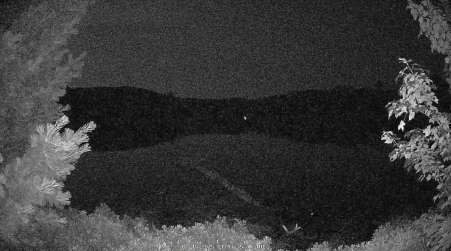 Image from 2025-07-15