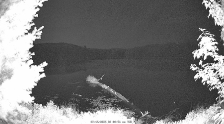 Image from 2025-07-15