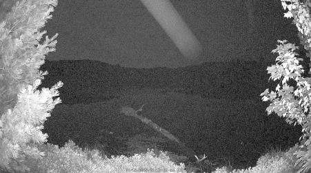 Image from 2025-07-15