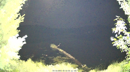 Image from 2025-07-15