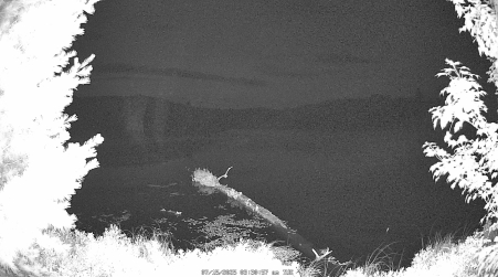 Image from 2025-07-15