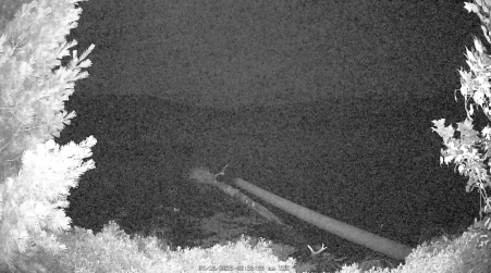 Image from 2025-07-15