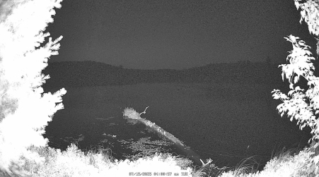 Image from 2025-07-15