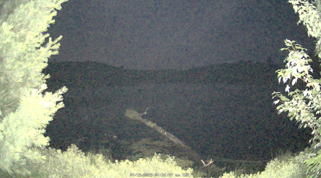 Image from 2025-07-15