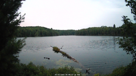Image from 2025-07-15