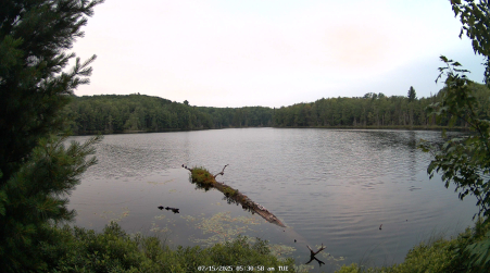 Image from 2025-07-15
