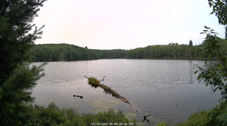 Image from 2025-07-15