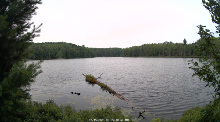 Image from 2025-07-15