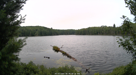 Image from 2025-07-15