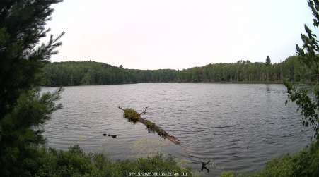 Image from 2025-07-15