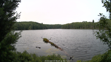 Image from 2025-07-15