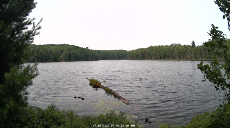 Image from 2025-07-15