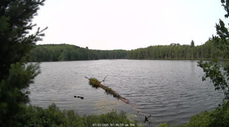 Image from 2025-07-15