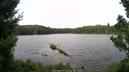Image from 2025-07-15