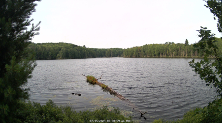 Image from 2025-07-15