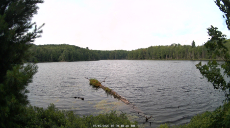 Image from 2025-07-15