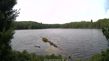 Image from 2025-07-15