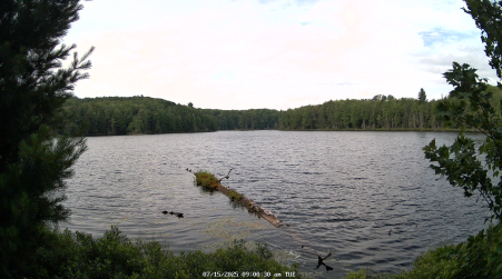 Image from 2025-07-15